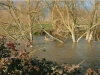 9 2-ducks